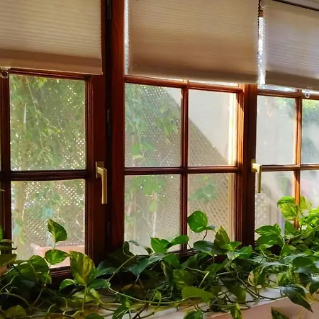 Treasure Vakantiehuis *