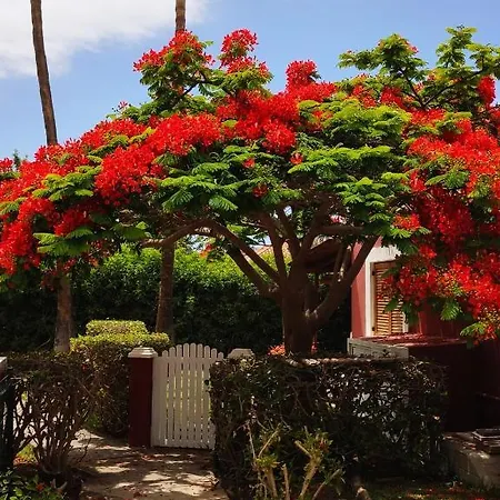 Vakantiehuis Treasure *